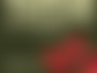 11/8 Together For Palestine