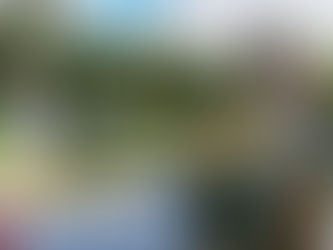 Pictures from 2017 RMPJC Summer Picnic