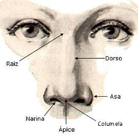Nariz de batata - rinoplastia para afinar a ponta nasal - cirurgia plástica Florianópolis - Dr. Leandro Grangeiro