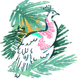 Tropischer Vogel