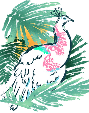 Tropical Bird