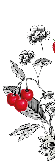 Giffard Syrups