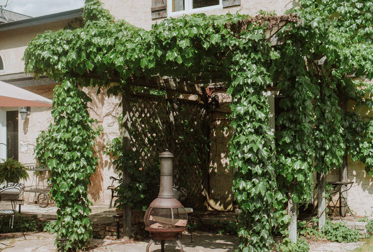 Vineyard Suite 4.jpeg