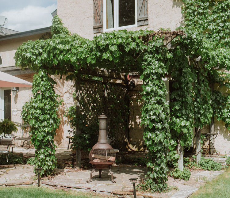 Vineyard Suite 4.jpeg