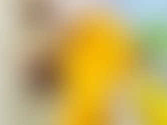 Nordstrom Anniversary Sale 2025