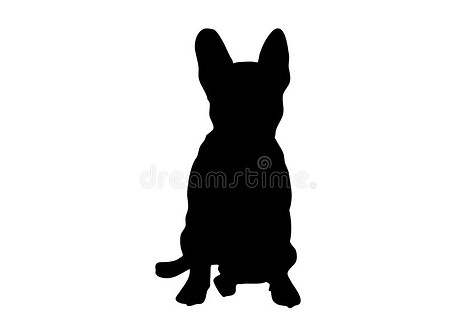 sit-french-bulldog-silhouette-good-dog-sits-full-face-vector-illustration-217921671.jpg