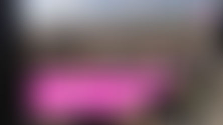 Mil 300 toneladas de basura se generan en Mérida ¿Qué se hace con ella?