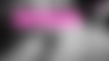 Los cocodrilos también quieren vivir en paz