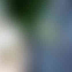 Wagga Wagga Church Wedding