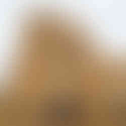 Wagga Wagga Church Wedding