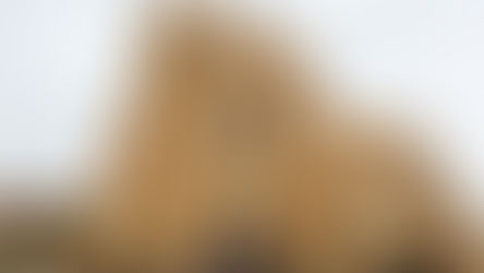 Christina & Ricky - Wagga Wagga Wedding.