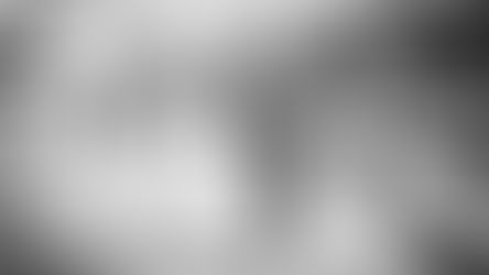 Williamstown Wedding.