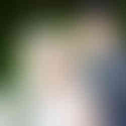 Wagga Wagga Church Wedding