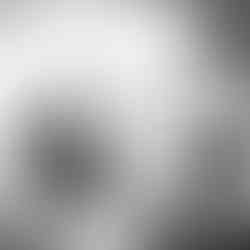 Newlyweds at Williamstown