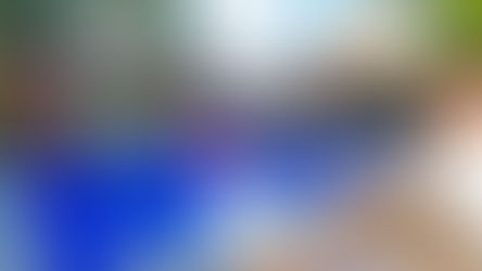 Builders Renovation & Interior Design Session in Brighton.