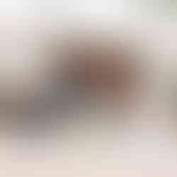 Wagga Wagga Church Wedding