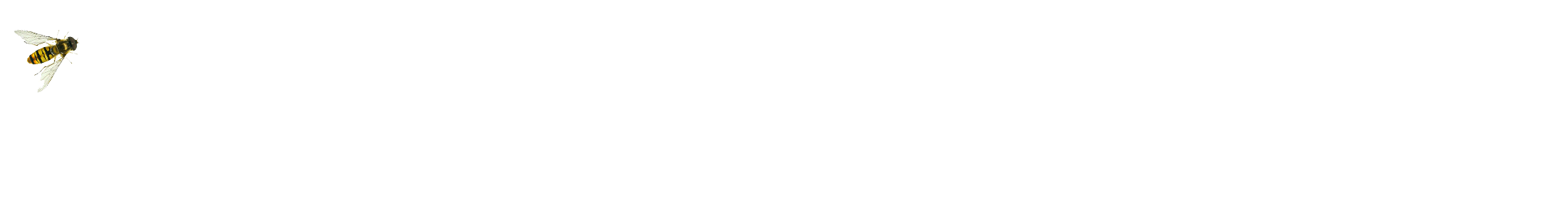 zweefvlieg5.gif