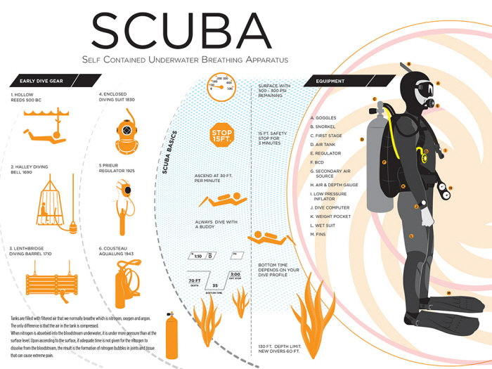 Diving Infographics