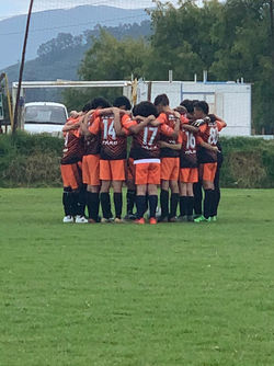 Tigres
