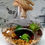 Thumbnail: Flask Shaped Terrarium - with succulent plants