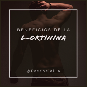 L-Ornitina para el refuerzo muscular