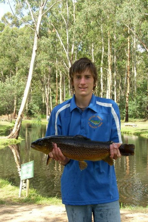 Rainbow Trout
