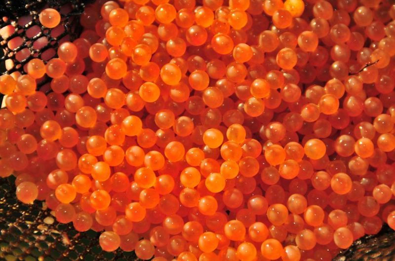 Salmon Roe