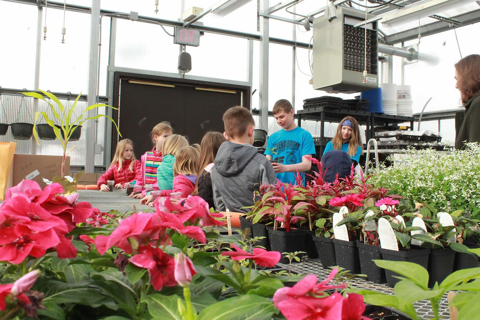 Flower and Plant Sale