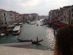 Venecia
