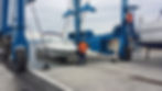 antifouling