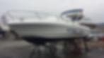antifouling