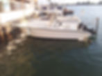 antifouling