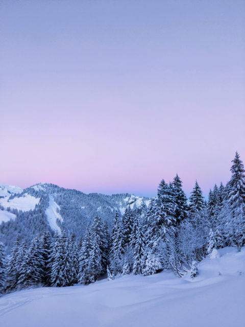 Rando à ski - Champéry