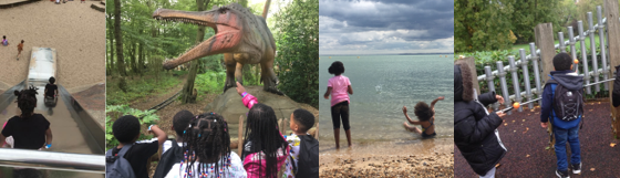 Each one: celebrating impact in 2018-2019