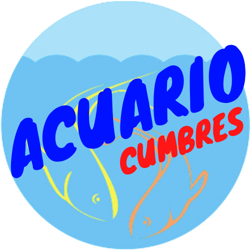 Foto del escritor: Acuario Cumbres