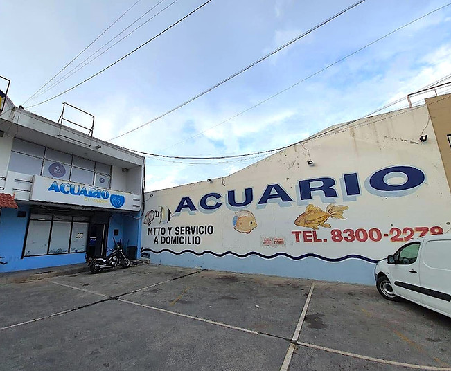 Tienda Acuario Cumbres fachada negocio 