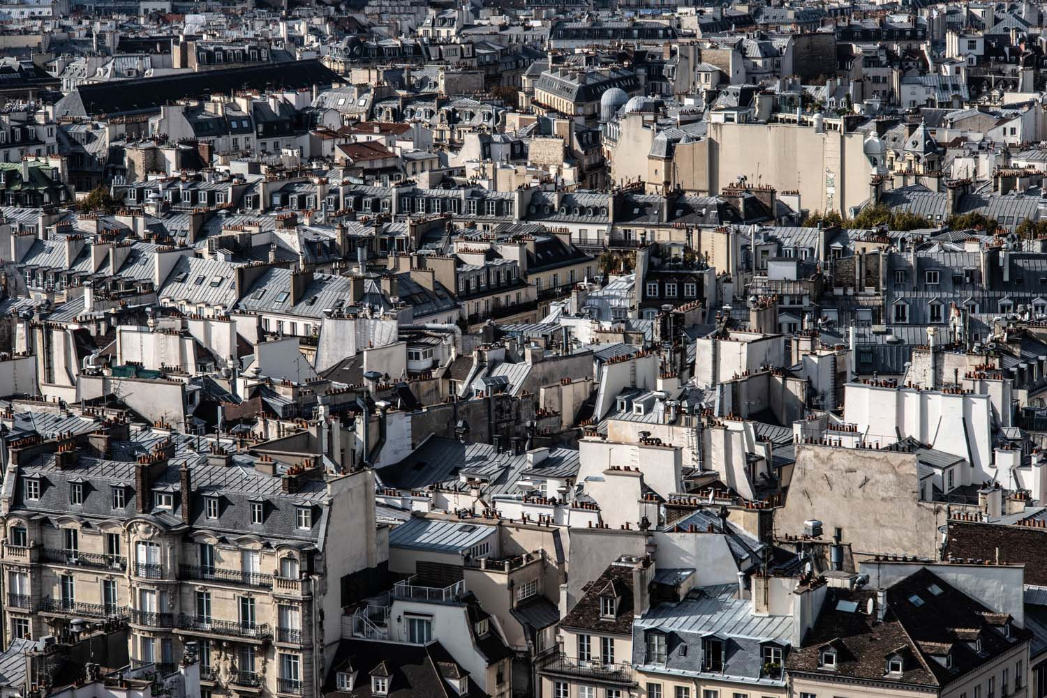 Paris Rooftops