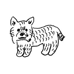 YORKIE
