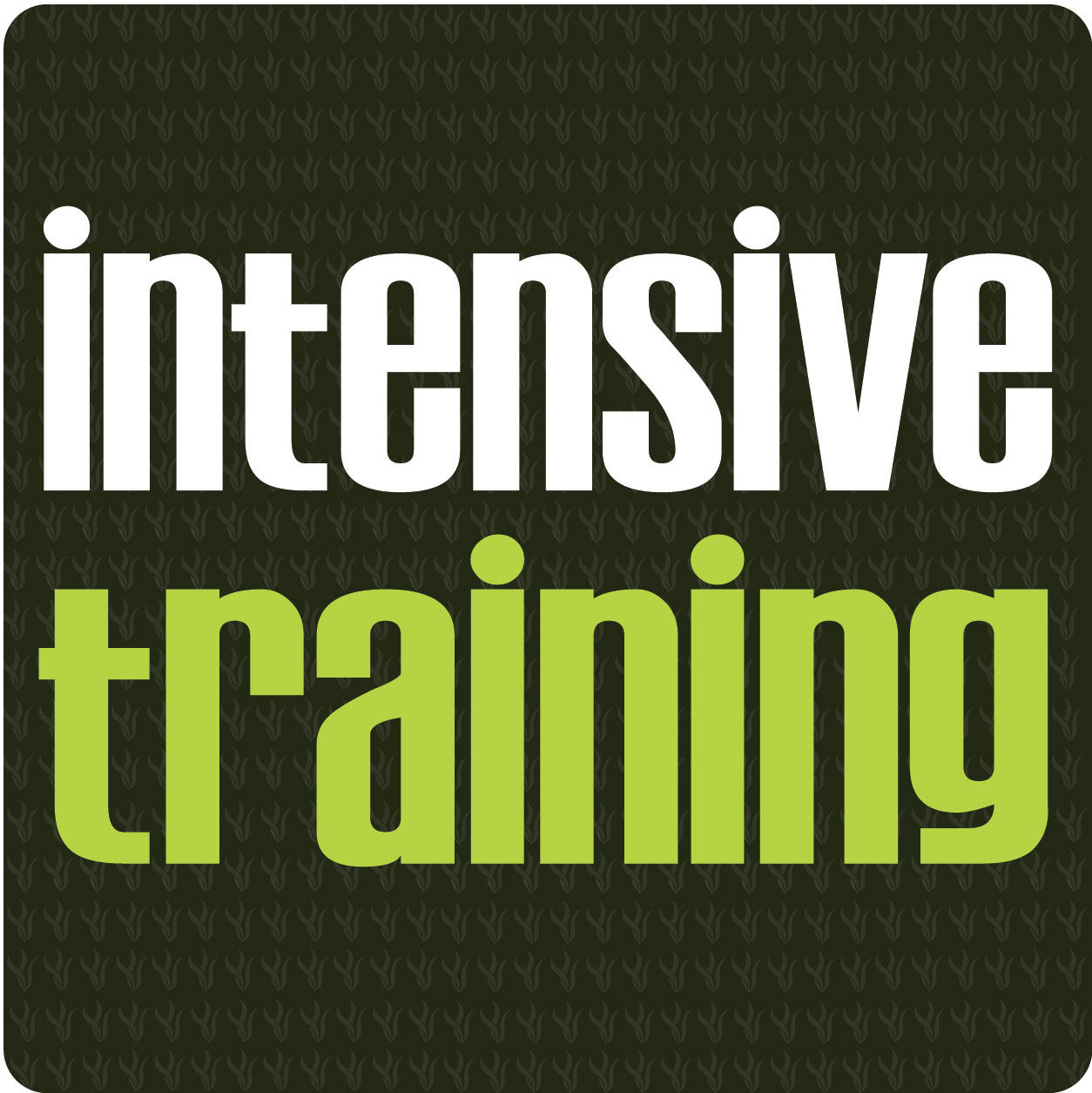 Int. Septiembre (3 h. día)