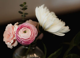 423_patricklillywedding_BO4A1678_websize_edited.jpg