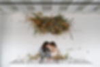 Styled Spring © Third West Studio-0051_websize.jpeg