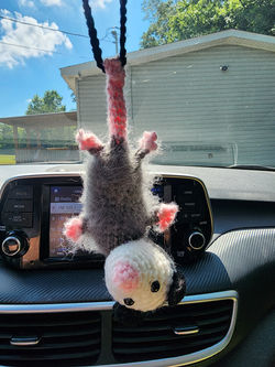 Possum car decor