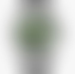 Burei Men's Luxury Automatic Mechanical Watch