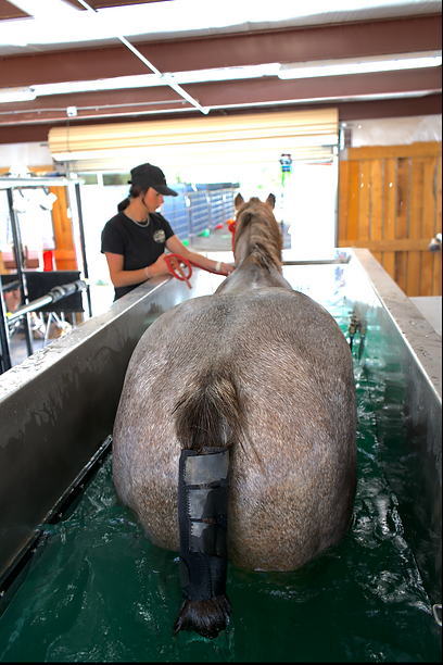 Screenshot 2025-05-19 at 3.23.06 PM.png