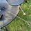Thumbnail: Ash Rake