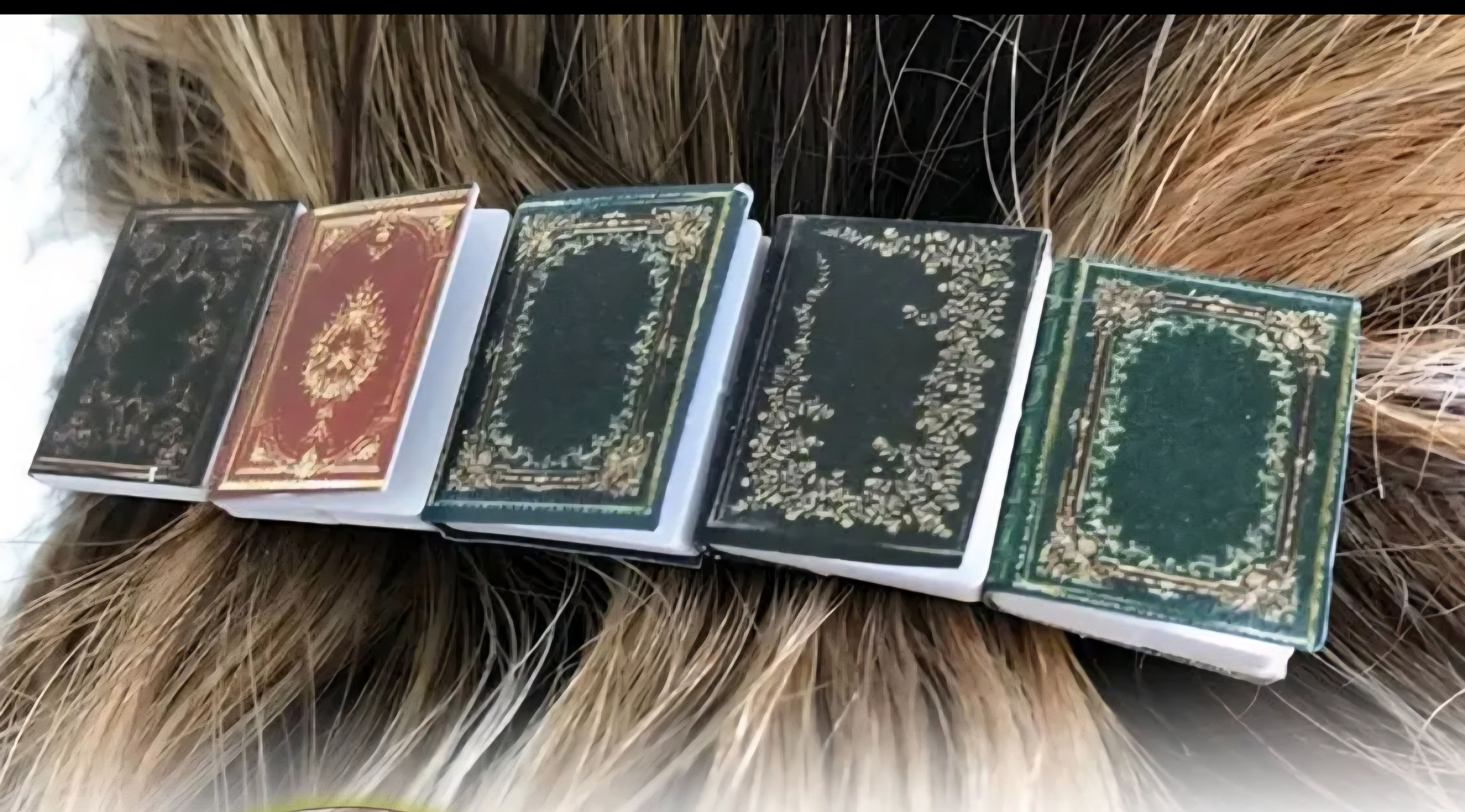 Kiss and Tell - Hair Clips