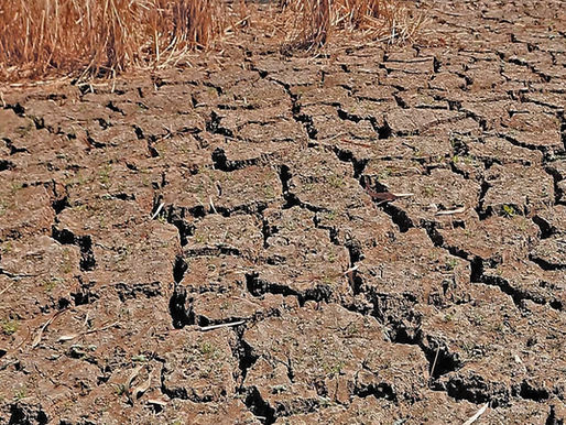Mitigating the Impending Dry Spell: Agriculture Department's Proactive Measures in Region IV-A