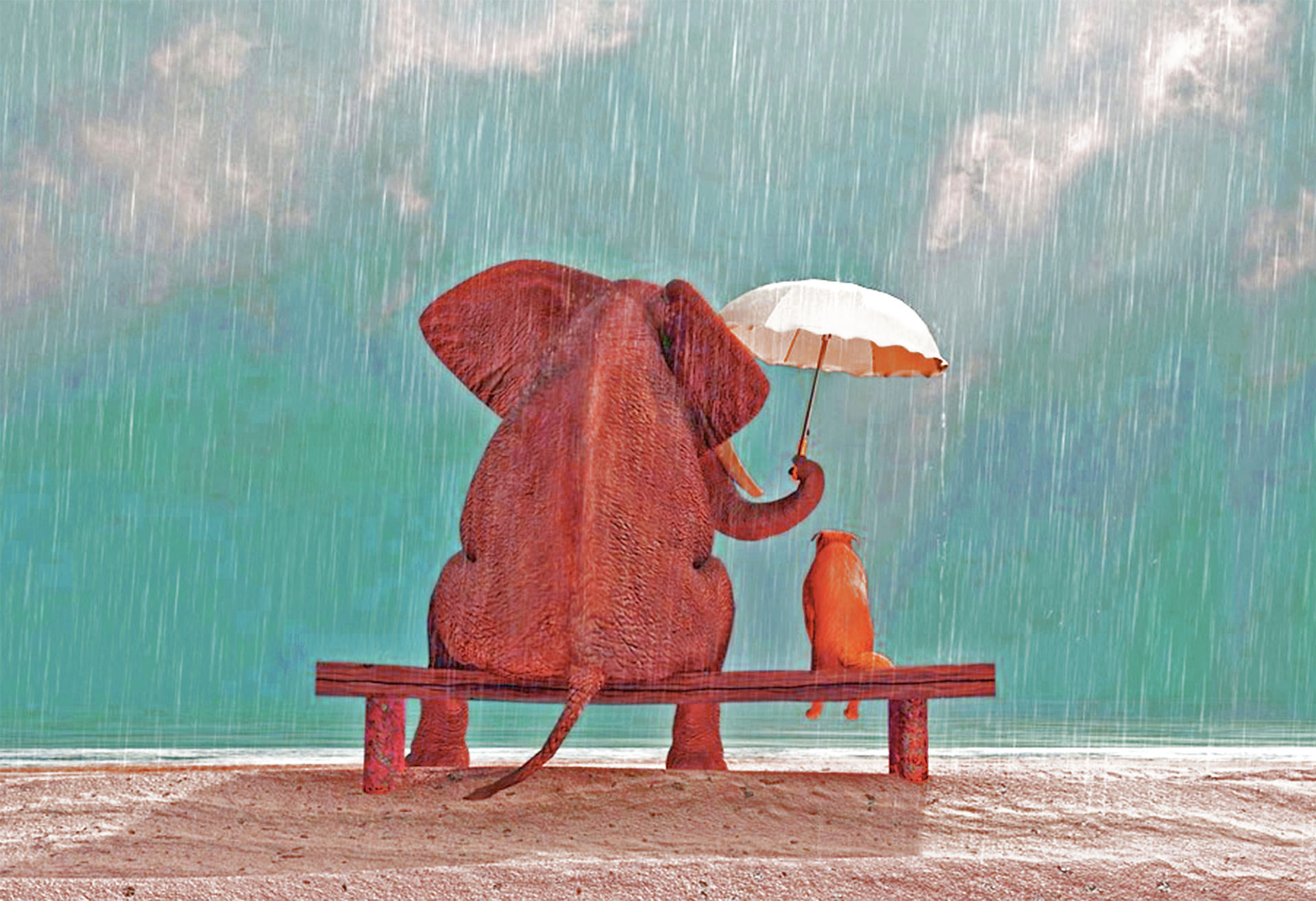 SHOW GENUINE KINDNESS.