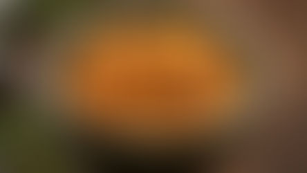 10 Foods High in Protein and Fiber