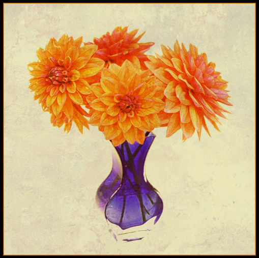 Barbaras-Dahlias-5.jpg